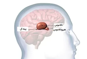 غده صنوبری