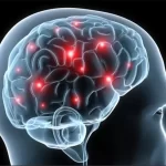 التهاب مغز یا آنسفالیت مغزی چیست؟
